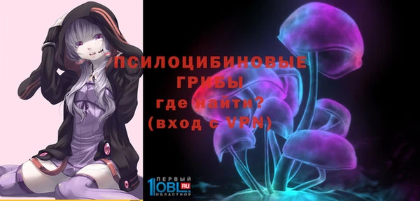 ГАЛЛЮЦИНОГЕННЫЕ ГРИБЫ Вяземский