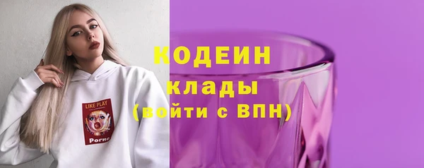 крисы Бронницы