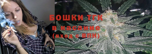 ГАЛЛЮЦИНОГЕННЫЕ ГРИБЫ Вяземский